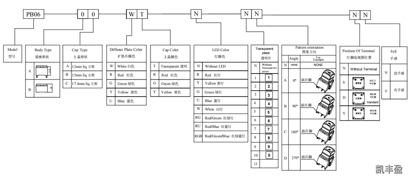 PB06舊